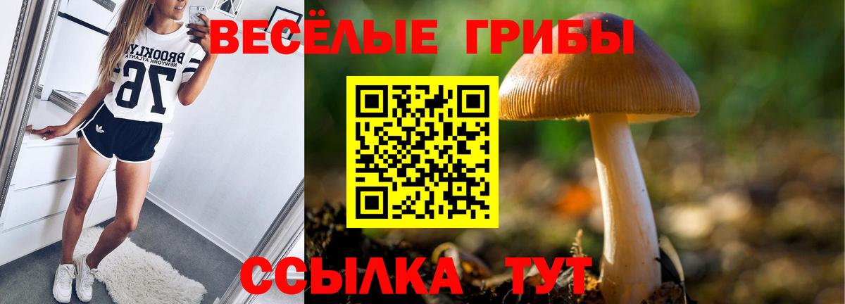 Галлюциногенные грибы мухоморы  Вход с VPN  Миллерово  Псилоцибиновые грибы Psilocybe 